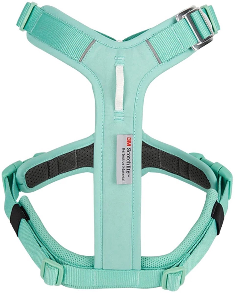 Small Combination - Kleurrijk Reflecterend Anti-Trek Hondentuigje